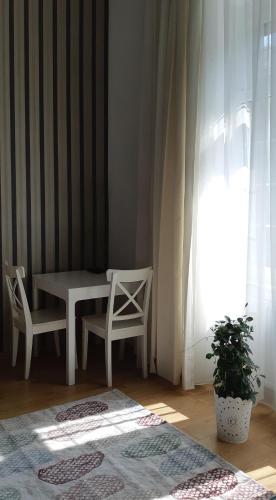 Posezení v ubytování Tempo Life Apartman