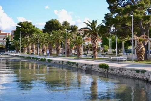 Olive Tree Apartments