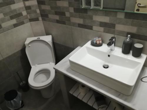 a bathroom with a white toilet and a sink at marilena in Néa Epídhavros
