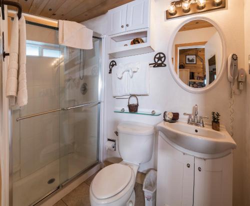 a bathroom with a toilet and a sink and a shower at Fireside Lodge in South Lake Tahoe