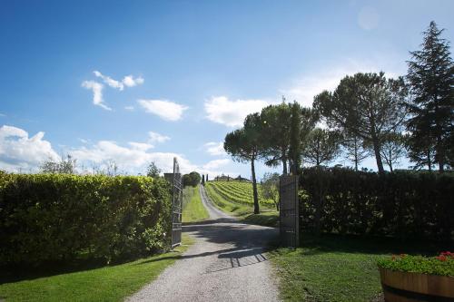 Tenuta San Filippo – Photos 3