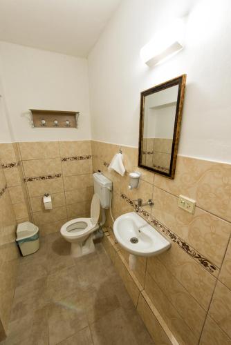 a bathroom with a toilet and a sink and a mirror at Yellow Rose Pansiyon in Çanakkale