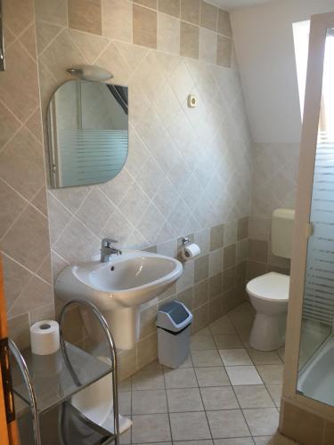 ザラカロシュにあるKatalin Apartmanházのバスルーム(洗面台、トイレ付)