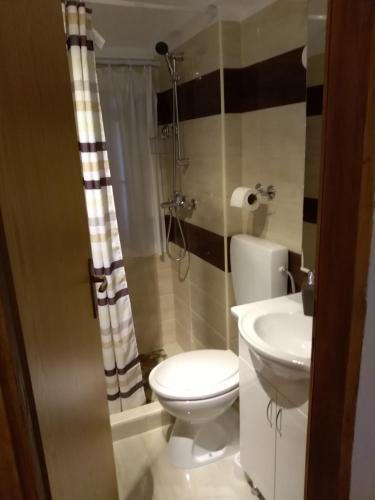 a bathroom with a toilet and a sink at Antonia & Arian in Roč