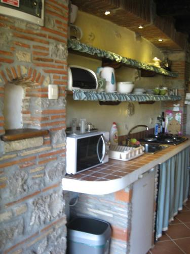 a kitchen with a counter top with a microwave at Antonia & Arian in Roč