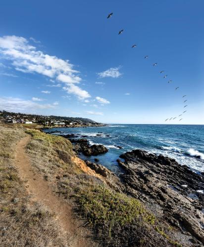 a view of the ocean from a rocky beach at Sand Pebbles Inn in Cambria