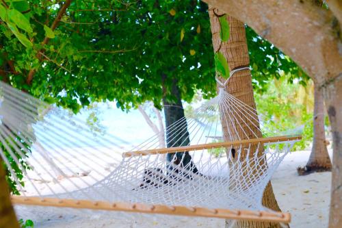 a hammock hanging from a tree in a park at Serenity Island Resort in Mamanuca Islands