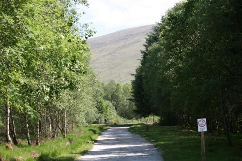 a road with trees and a mountain in the distance at The Little Houses in Roybridge