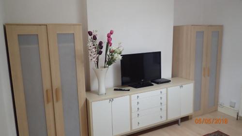 a tv and a vase with flowers on a cabinet at Hill Apartments in London