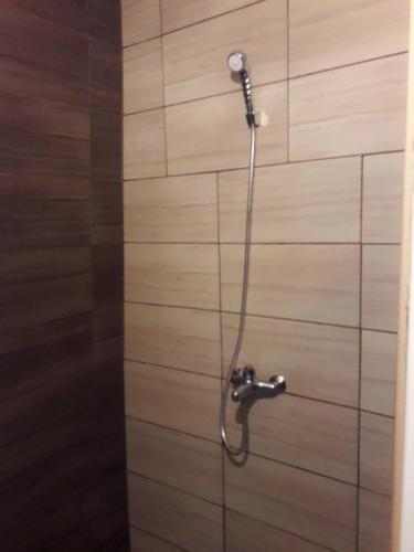 a shower with a hose on a wall at Suri in Plužine