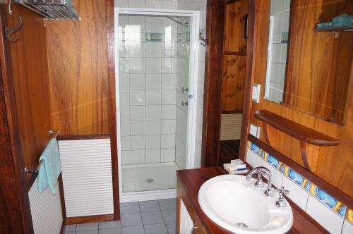 a bathroom with a sink and a shower at Eagles Nest Ocean Lookout in Denmark