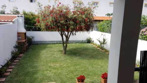 a garden with a tree in the middle of a yard at Navegante's House in Almograve
