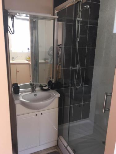 un baño con lavabo y ducha en Le petit paradis, en Daumeray