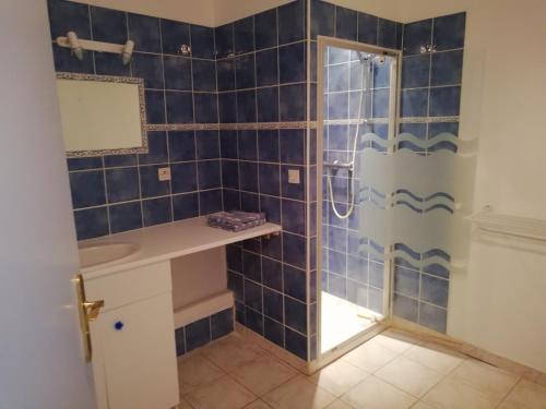 uma casa de banho em azulejos azuis com um chuveiro e um lavatório. em Gîte chez Effat em Saint-Aignan
