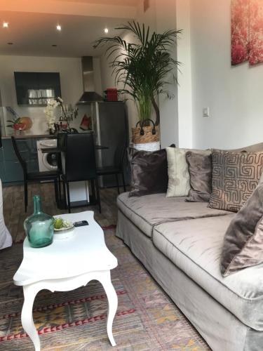 un salon avec un canapé et une table dans l'établissement Garden Carras, à Nice