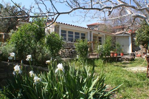 ein Haus mit weißen Blumen im Hof in der Unterkunft Arcadia Eressos in Eresos