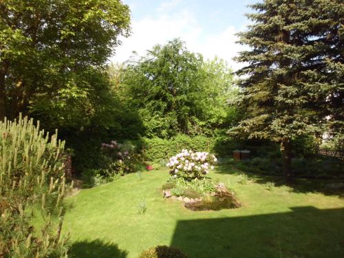 a garden with pink flowers in the grass at Ferienwohnung Familie Maas in Neuenkirchen