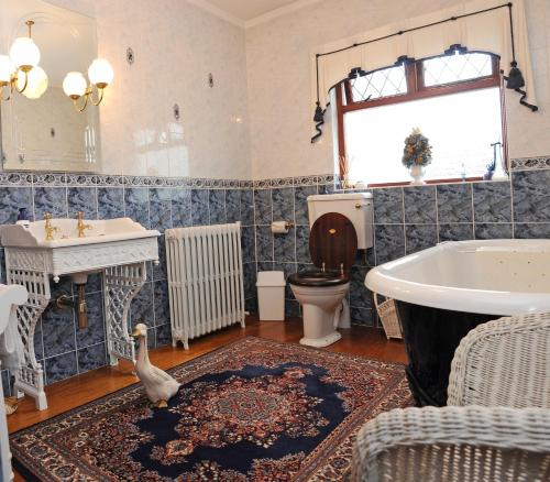 a bathroom with a toilet and a duck on a rug at Cottesmore Bed and Breakfast in Bushmills