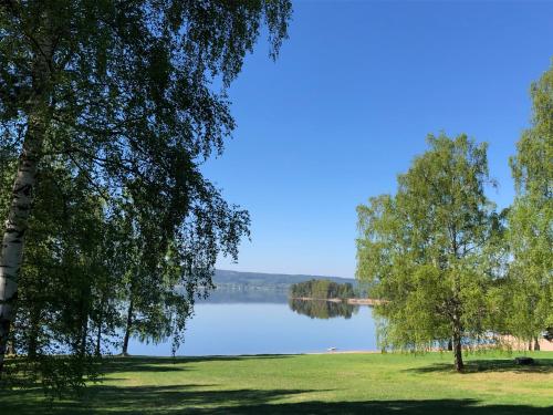 アルビカにあるHaga Gård Arvikaの手前に樹木が植えられた湖の景色