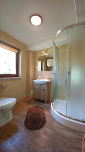 a bathroom with a shower and a toilet and a sink at Chatka Bukowina in Wetlina