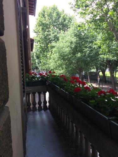 Gallery image of Brigid b&b in Florence