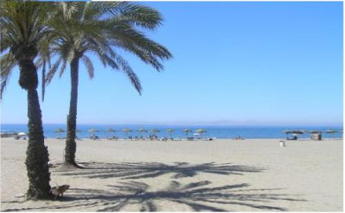 two palm trees on a beach with the ocean at H Juan in Marbella
