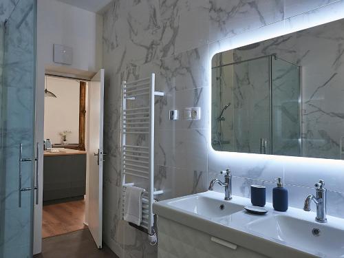 La salle de bains est pourvue d'un lavabo et d'un miroir. dans l'établissement Les Appartements Saint-Martin, à Colmar