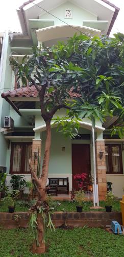 a small tree in front of a house at Rumah Satoe in Depok