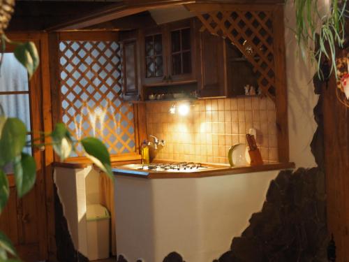 a small kitchen with a stove top oven at Penzion Farkys in Jamník