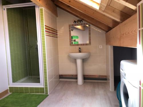 een badkamer met een wastafel en een douche bij loft st crépin in La Rua