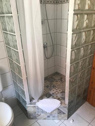 a bathroom with a shower with a toilet in it at Voyage Apartments in Hévíz