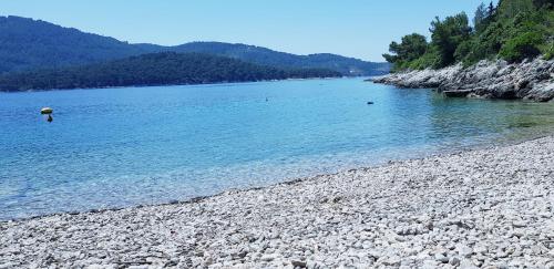 a large body of water with a rocky shore at Villa Matic in Vela Luka