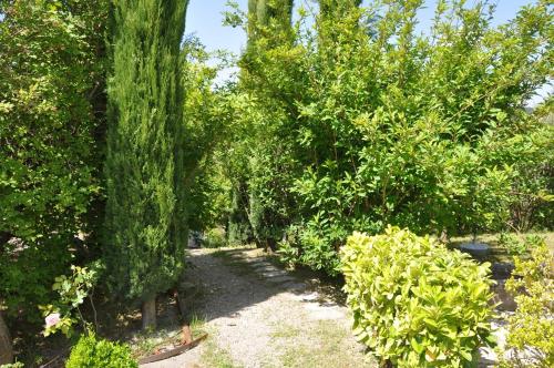 a garden with trees and bushes and a path at Le Jas Du Colombier in Moustiers-Sainte-Marie