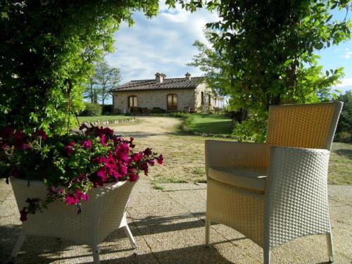 Taverna di Bibbiano – Photos 5