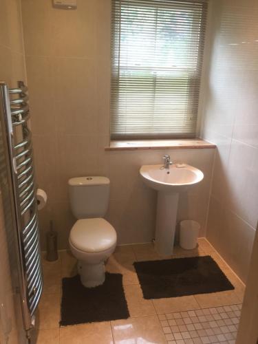 łazienka z toaletą i umywalką w obiekcie Yr Hen Feudy w mieście Barmouth