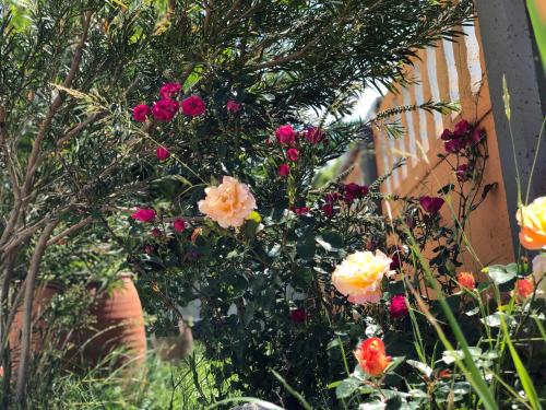 Galeriebild der Unterkunft Aydın Apart Pansiyon in Sinop