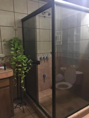uma casa de banho com um chuveiro e um WC. em Ruiselares em Puntarenas