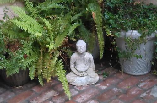 "California Dreamin' – Photos 2