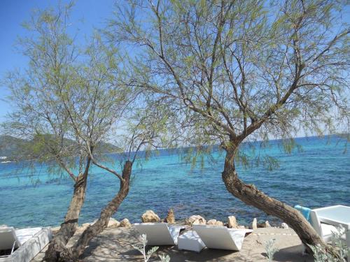 two trees on a beach with chairs and the water at Finca Son Blat in Porto Cristo