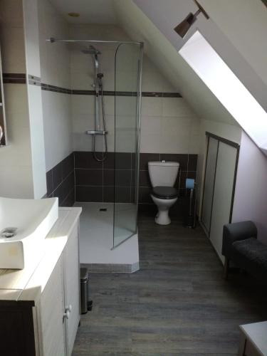 une salle de bain avec toilettes et douche en verre dans l'établissement Chambre Rose Blanche, au Lude