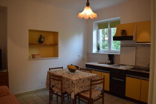 Η κουζίνα ή μικρή κουζίνα στο Apartmani Anđela i Mladen Debelić