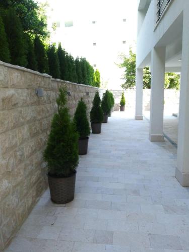 Gallery image of Guesthouse Montex in Sutomore