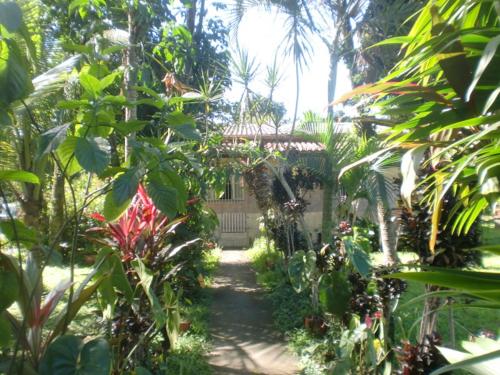 un jardín con un camino que conduce a una casa en Casa Parada Modelo en Guapimirim
