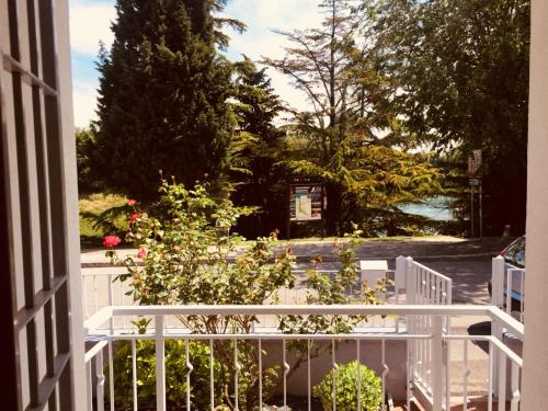 Villa Ferri في بسكيرا ديل غاردا: اطلالة على حديقة من شرفة