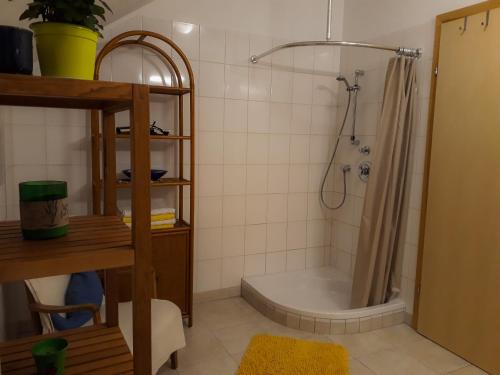 a bathroom with a shower and a bath tub at Ferienwohnung nahe Fuschlsee, Hof bei Salzburg in Hof bei Salzburg