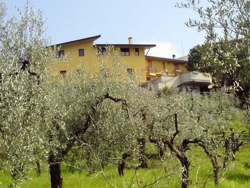 a building in the background with a field of trees at Agriturismo Trivilini in Lanciano