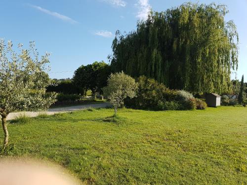 a field of grass with a tree in the background at Gite Les Lavandes in Vaison-la-Romaine