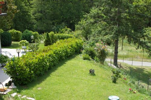 Jardín al aire libre en Affittacamere Graziella