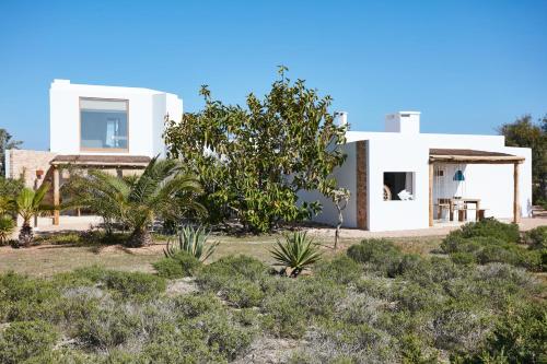 プラヤ・ミジョーンにあるCan Tres Formenteraの木の畑の中の家