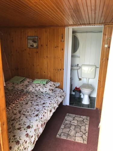 Кровать или кровати в номере Camping Robinson Country Club Oradea